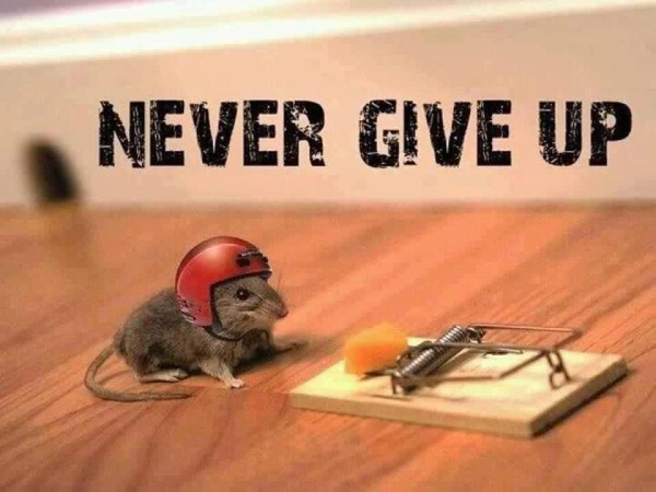 Never Give Up!